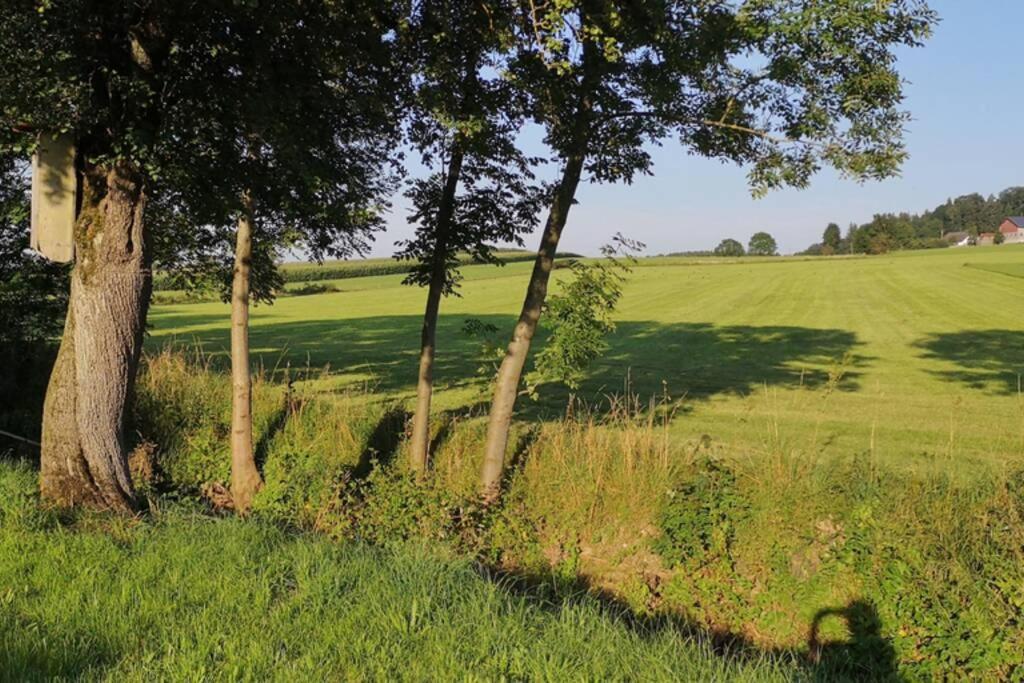 Ruhige Ferienwohnung Inklusive Garten Souterrain - Neu Renoviert Lachen Exteriér fotografie