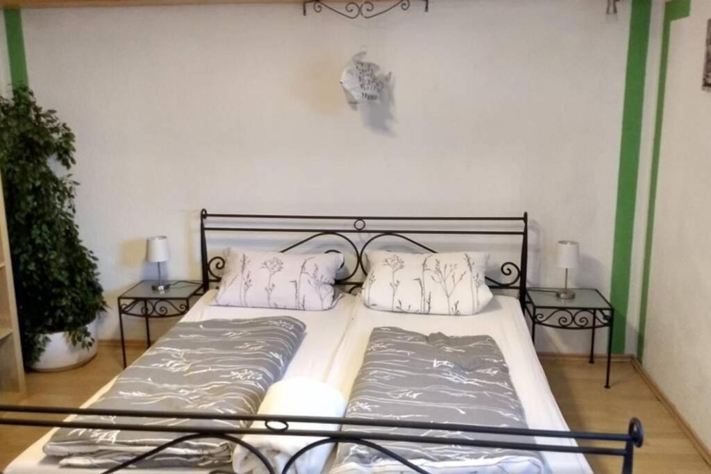 Ruhige Ferienwohnung Inklusive Garten Souterrain - Neu Renoviert Lachen Exteriér fotografie