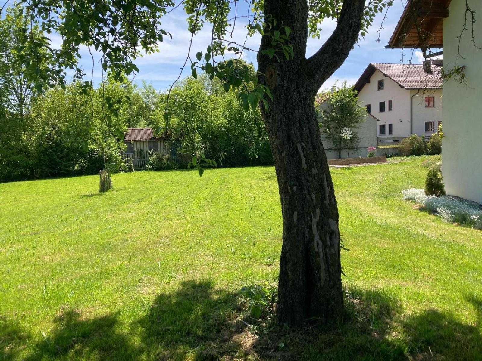 Ruhige Ferienwohnung Inklusive Garten Souterrain - Neu Renoviert Lachen Exteriér fotografie